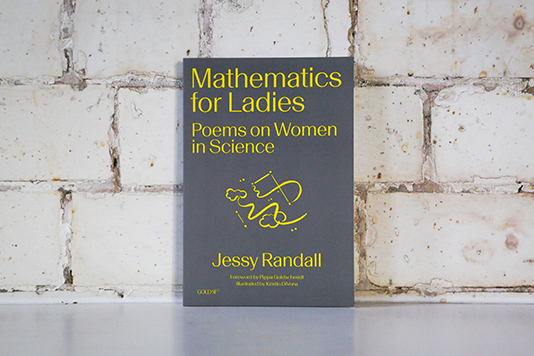 Book cover of Mathematics for Ladies

