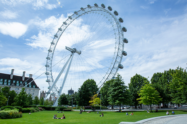 London eye with grass and trees in the foreground