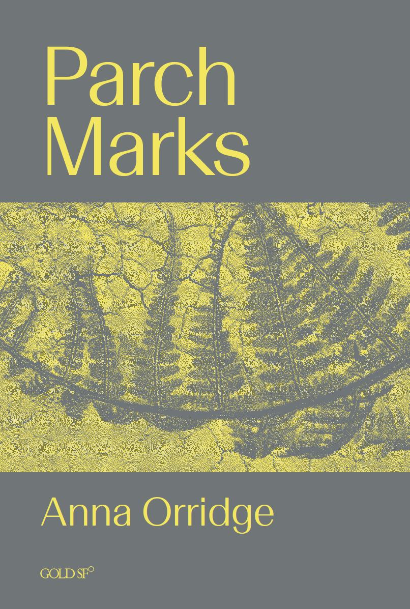 Book cover of Parch Marks