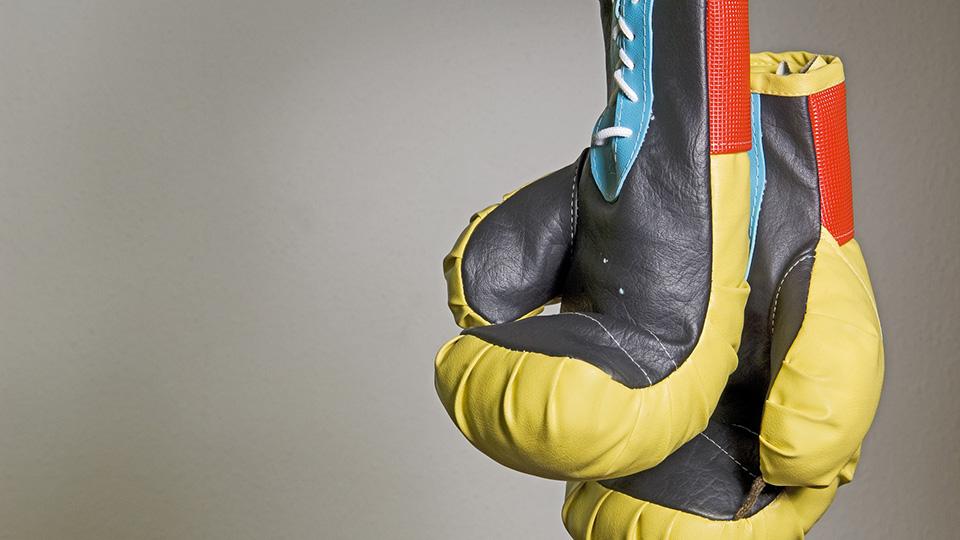 A photograph of boxing gloves