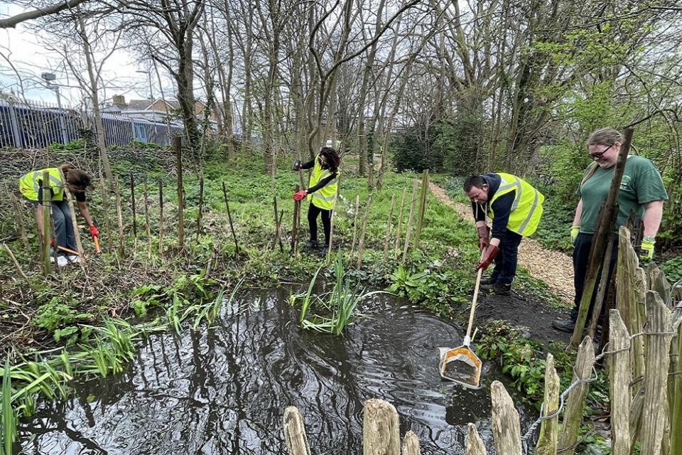 Three volunteers working at a pond, with a supervisor