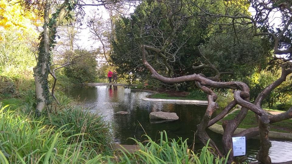 A pond in a park 