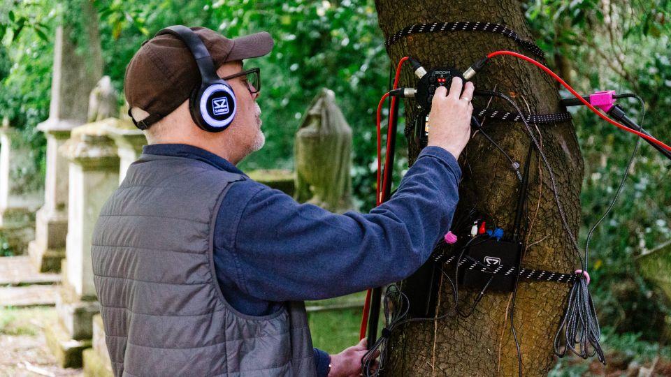 Listening like a tree