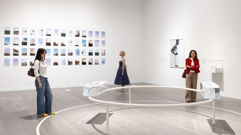 Three women in the exhibition space looking at pieces of art. There are two sharks in clear blocks on a white metal circle, and photographs on the walls. 