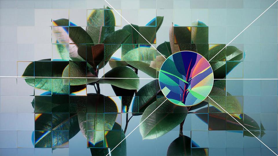 This image shows a houseplant against a neutral background. The scene is refracted in different ways by a fragmented glass grid.