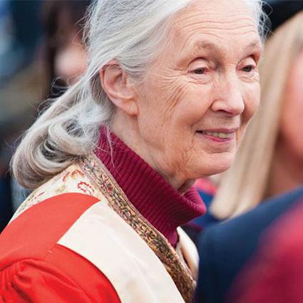 Photo of Dame Jane Goodall 
