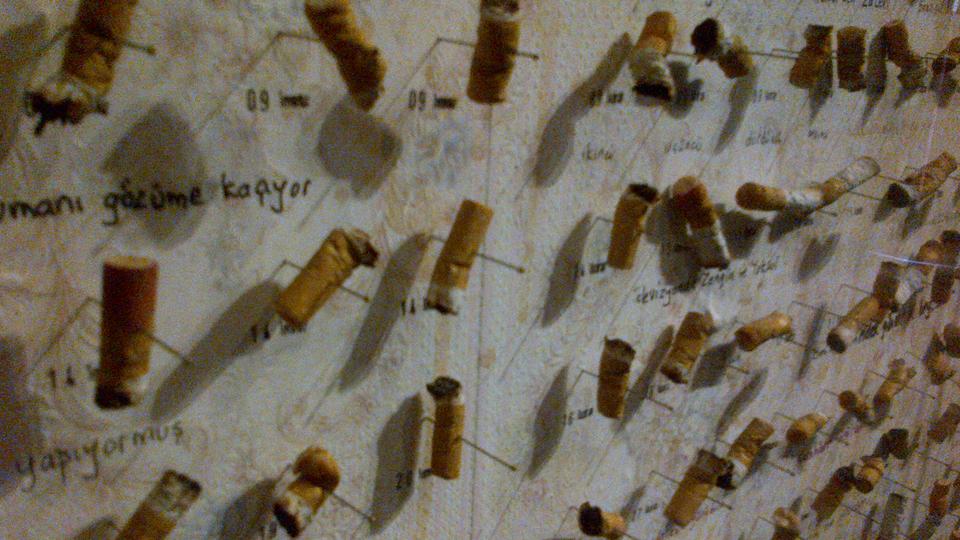 Low res, close-up photograph of cigarette butts pinned to a wall.