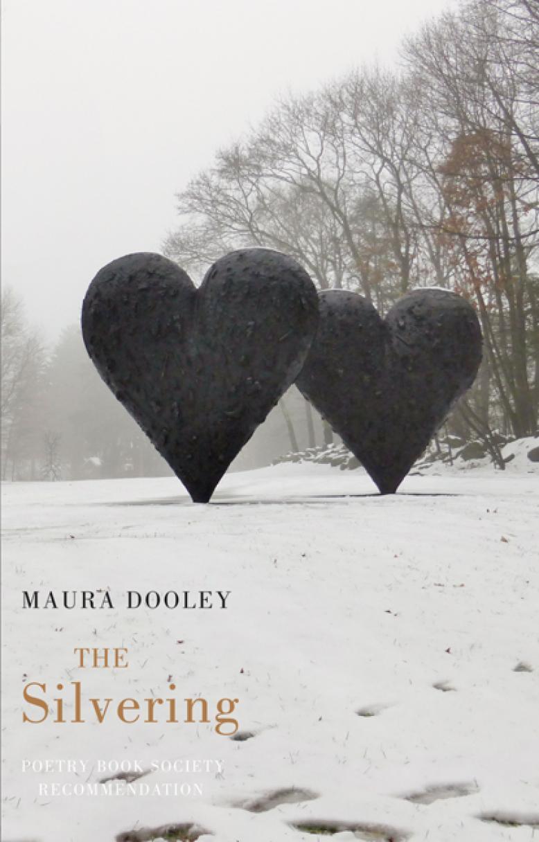 cover of The Silvering by Maura Dooley