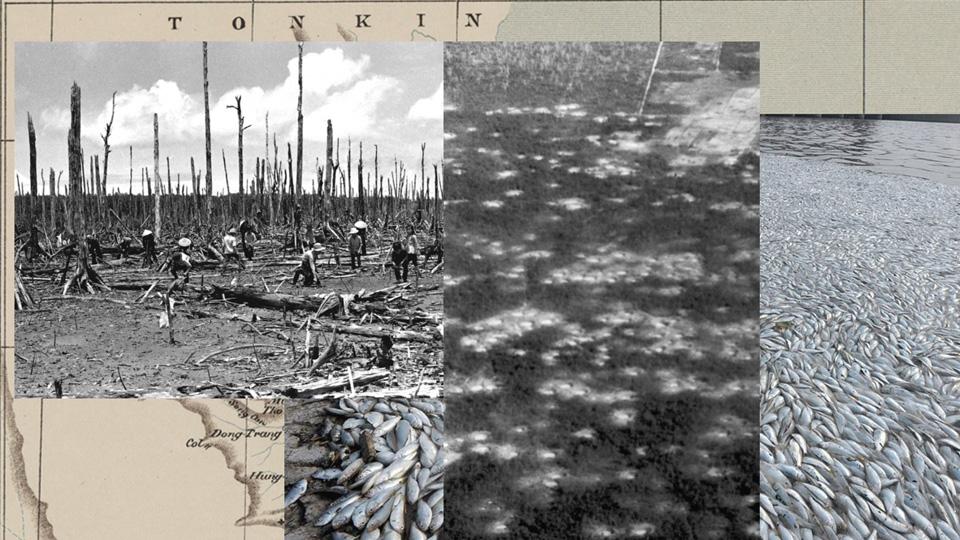 Photomontage of historic map with black and white photographs of landscapes