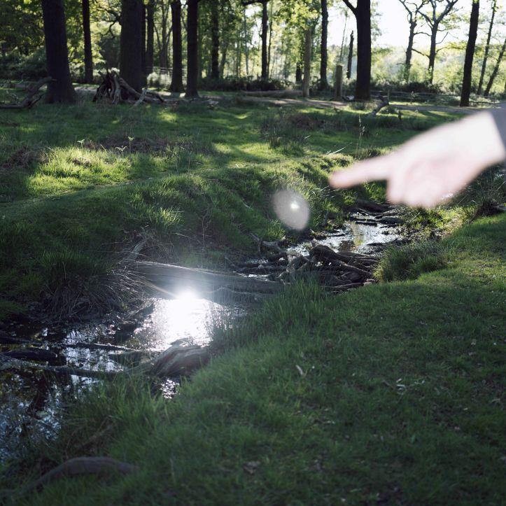 A photograph of a stream in a wood. A blurry hand is in the foreground, pointing. 