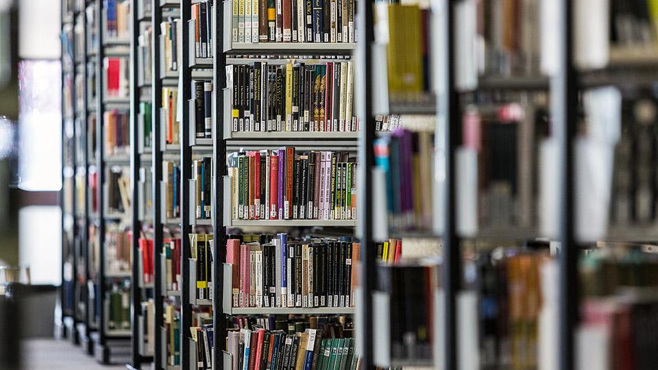 Rows of books in the Library