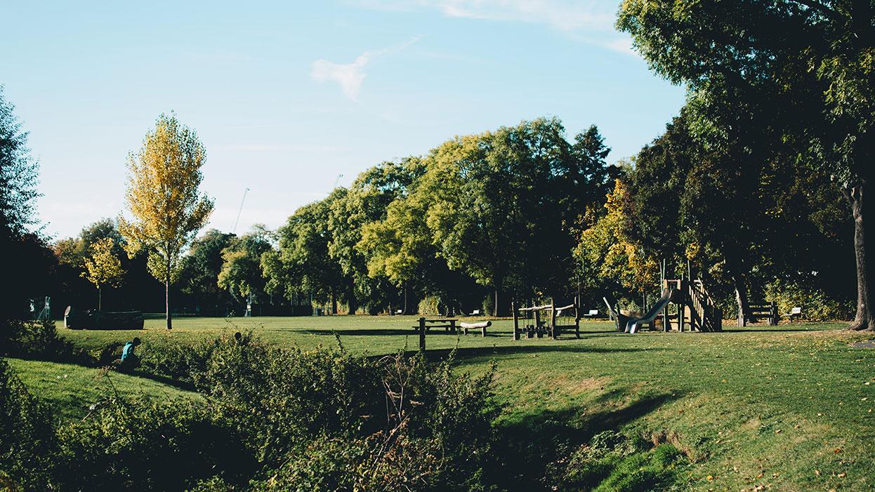 Grassy field and trees in Lewisham Park